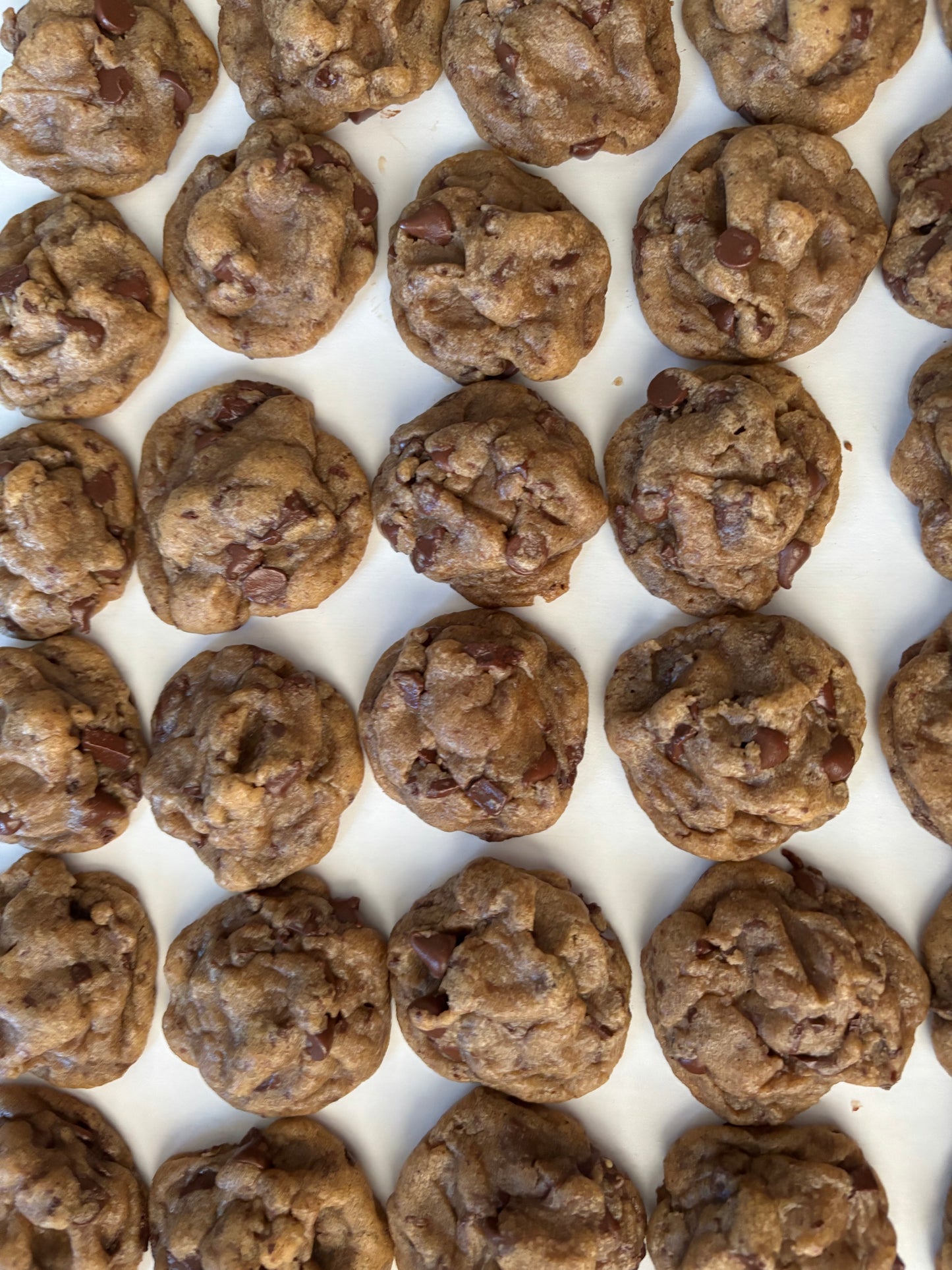 Brown Butter Chocolate Chip Cookie